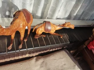 Vintage Leather Bound Handcrafted Middle Eastern Camel Set