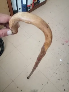 Vintage Wooden Walking stick