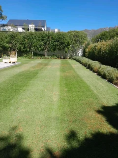 Gardener  is looking for Job