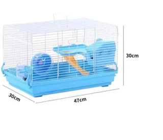 Teddy bear hamster babies