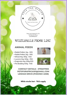 Teddy bear hamster babies