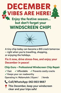 Windscreen chip repair