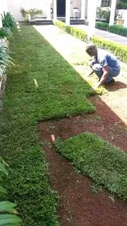 Construction - Ad posted by DLADLA CONSTRUCTION