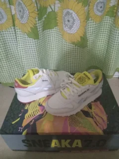 Aka reebok sneaker 2.0