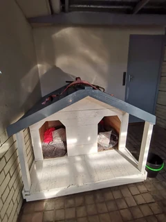 Dog kennels