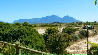 Self-catering Holiday Accommodation in the Philippi Horticultural Area (wetlands)