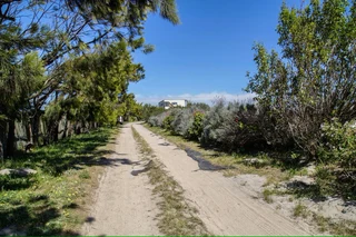 Self-catering Holiday Accommodation in the Philippi Horticultural Area (wetlands)