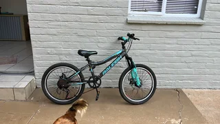 Raleigh R20 Delta 2.0 Bike