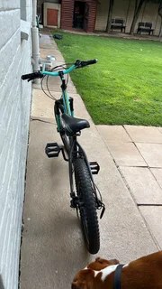 Raleigh R20 Delta 2.0 Bike