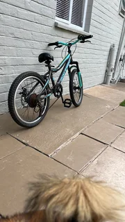 Raleigh R20 Delta 2.0 Bike