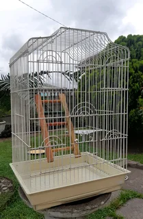 Bird cage.