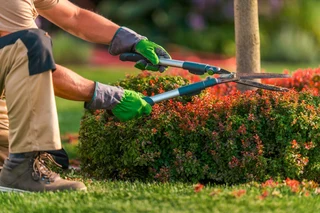 The Garden Boys Experts in Landscaping &amp; Maintenance