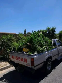 ALL REMOVALS AND CLEANING AT AFFORDABLE RATES!!!