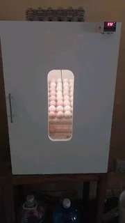 Incubator and hatcher.  176 egg capacity R2800. Springs 077 448 7932