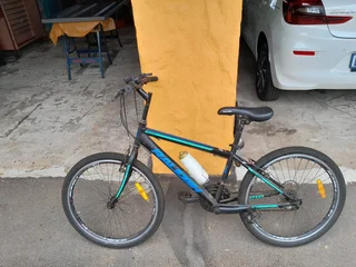 Raleigh 24 inch mountain bije