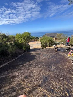 Tar surfaces and Asphalt