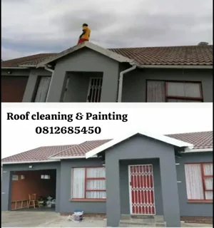High Pressure  Roof cleaning & Painting