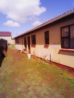 Painting  &amp;Roof