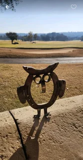 Cute horseshoe garden owl