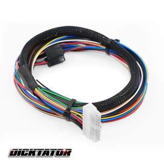 Dicktator Standard Harness