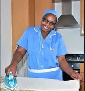 I can iron neatly, housekeeping and as cleaner