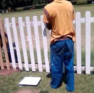 Picket fencing treated