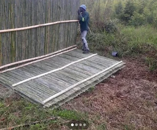 Bamboo panels for fencing