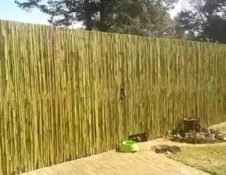 Bamboo panels for fencing