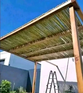 Bamboo panels for fencing