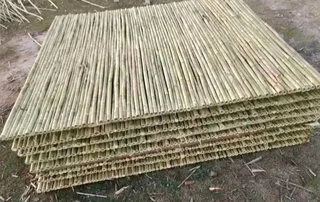 Bamboo fencing