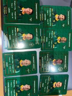 Pick n Pay Springbok Cards (Collectabok)