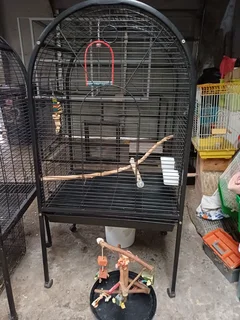 Cages Contact me on 076 285 5187