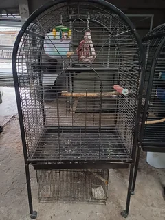 Cages Contact me on 076 285 5187