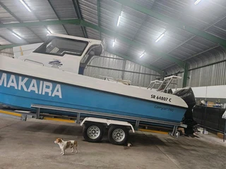 FOR SALE - CARRYCAT 760