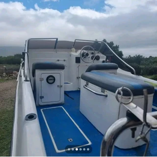 GRAB IT - ORION CAT!!!