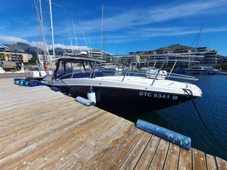 Extraordinary Hammer Cat For Sale!!!!