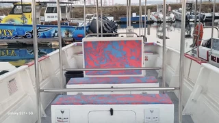 Cool Runnings - 28 Foot Buttcat