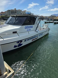 Cobra Cat 800 For Sale !!!!