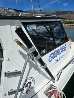 Cobra Cat 800 For Sale !!!!