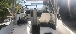 Bayliner at a crazy deal!!!!