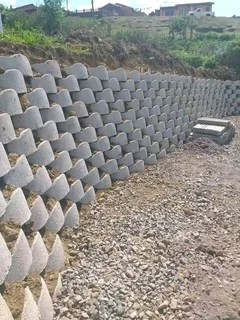 GBLOCKS  0618781156