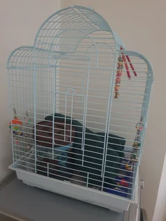 Large bird cage