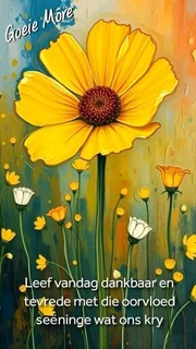 Readings and healings