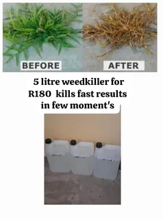 Weedkiller - Ad posted by Karishma Chetty
