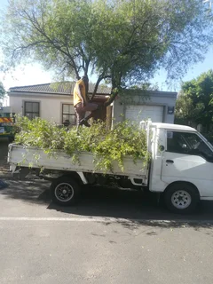 Garden Waste and Junk Mixs Removal