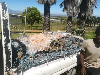 Waste and Rubble Removals