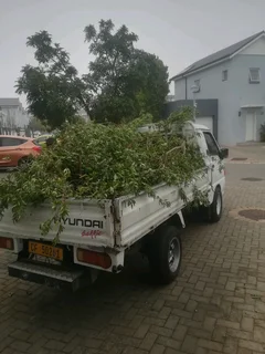 Waste and Rubble Removals