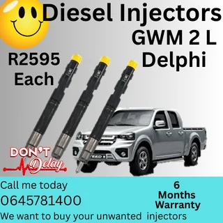 GWM 2 L Delphi diesel injectors
