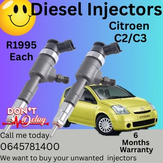 Citroen C2/C3 diesel injectors