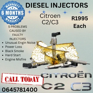 Citroen C2/C3 diesel injectors